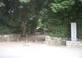 糺ノ森の写真_720907