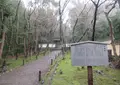 地蔵院（竹の寺）の写真_726127