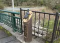 リフレッシュパーク市川の写真_766832
