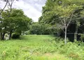 殿町公園の写真_802056