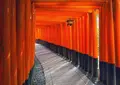 伏見稲荷大社の写真_888226