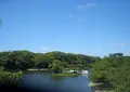 明石公園の写真_947356