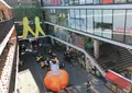 仁寺洞(インサドン)通り/인사동길の写真_951238