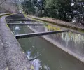 南禅寺の写真_109984