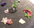 うえ田の写真_35950