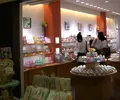 錦まるんの写真_174491