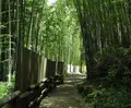 酒船石の写真_27355