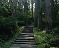 羽黒山の写真_40958