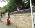 石清水八幡宮の写真_99302