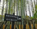 修禅寺の写真_18030