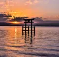 白鬚神社の写真_444180