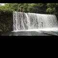 道志川の写真_53367