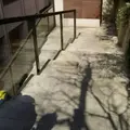 ダンディゾン（Dans Dix ans）の写真_68857