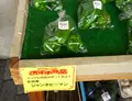 道の駅 宿場町ひらふくの写真_30706