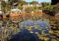 いきなり芝生公園に出たの写真_21730