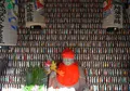 福住寺の写真_25504