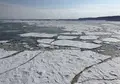 道の駅流氷街道網走の写真_25880