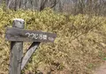 つつじ吊橋の写真_32049