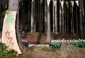 たんとう花公園の写真_72700