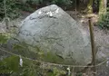 白鬚神社の写真_74481