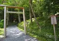 出雲大神宮の写真_99332