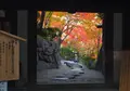 紅葉渓庭園の写真_123736