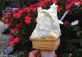 ジェラートショップ 花彩の写真_135147