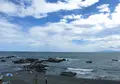 大磯海水浴場の写真_147916