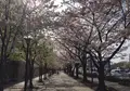 春海橋の写真_171293