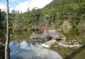 上高地の写真_205358