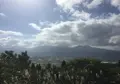 山田パーキングの写真_207140