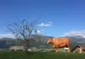 あそ望の郷くぎのの写真_207147
