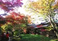 宝厳院の写真_464646