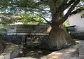 けやき水源の写真_799258