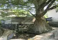 けやき水源の写真_799464