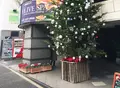 oliveSPA 恵比寿店の写真_209699