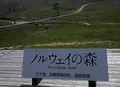 砥峰高原の写真_341297