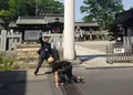 今宮神社の写真_29736