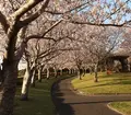 瀬戸公園の写真_131062