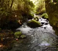 山吹水源の写真_150538
