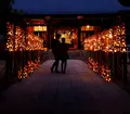 ほの宵まつりの写真_526505