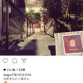 ダンディゾン（Dans Dix ans）の写真_209543