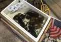 ボストン・クラムシャック (Boston Clam Shack Seafood Company)の写真_139432