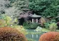 毘沙門堂の写真_101013