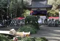 来振寺　節分星まつりの写真_20241
