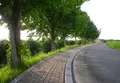 十一面観音堂の写真_21863