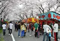 墨俣桜まつりの写真_27071