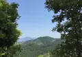 吉野山の写真_30217