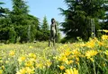 鶴舞公園の写真_32658