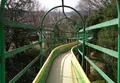 丸山総合公園の写真_44102